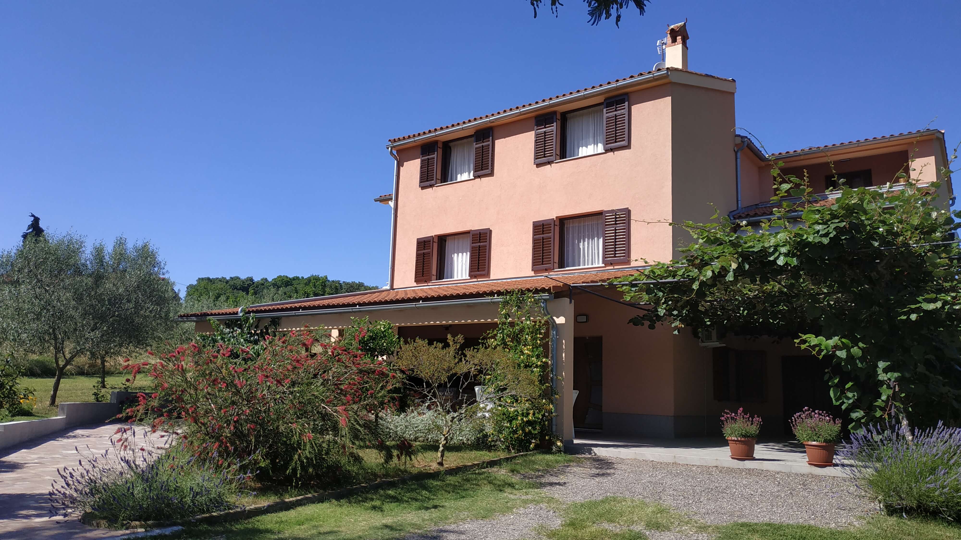 Bright and beautiful living room which contains cupboards, TV, sofa and coffee table. Bright brown and white colors are prevailing.